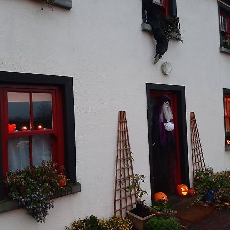 Hotel Nellys Bed And Bikes Westport Exterior foto