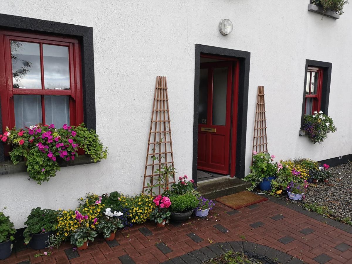 Hotel Nellys Bed And Bikes Westport Exterior foto